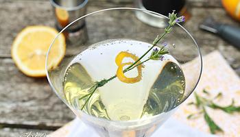 Lavender Meyer Lemon Tom Collins